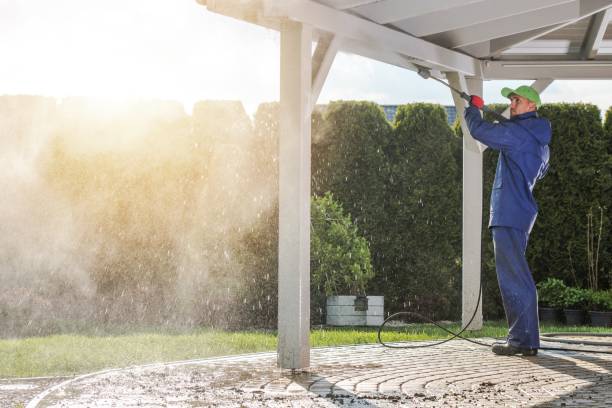 Best Brick and Stone Cleaning in Warsaw, VA